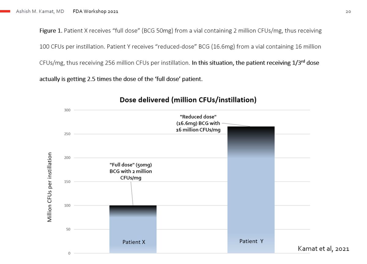 Ashish M. Kamat, MD, MBBS (@urodocash) on Twitter photo Many of you asked if I could share the slide on reduced dose BCG and implications for patient care so here it is
#BladderCancer #BCG #OncSurgery
<a href="/FDAOncology/">FDA Oncology</a> <a href="/IBCG_BladderCA/">IBCG</a> @SITCCancer <a href="/EurUrolOncol/">European Urology Oncology</a> <a href="/BladderCancerUS/">Bladder Cancer Advocacy Network</a> <a href="/UroToday/">UroToday.com</a> Many of you asked if I could share the slide on reduced dose BCG and implications for patient care so here it is
#BladderCancer #BCG #OncSurgery
<a href="/FDAOncology/">FDA Oncology</a> <a href="/IBCG_BladderCA/">IBCG</a> @SITCCancer <a href="/EurUrolOncol/">European Urology Oncology</a> <a href="/BladderCancerUS/">Bladder Cancer Advocacy Network</a> <a href="/UroToday/">UroToday.com</a>