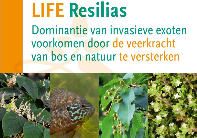 Vandaag is de NL versie van de LIFE Resilias brochure naar de drukker gegaan! Mooie kennismaking met de #ecosysteemaanpak van #invasieveexoten of natuurlijk als naslagwerk. Nieuwsgierig? Hij is al beschikbaar als download op onze website! <a href="/LIFEprogramme/">LIFE Programme</a> bit.ly/3qOFrdX
