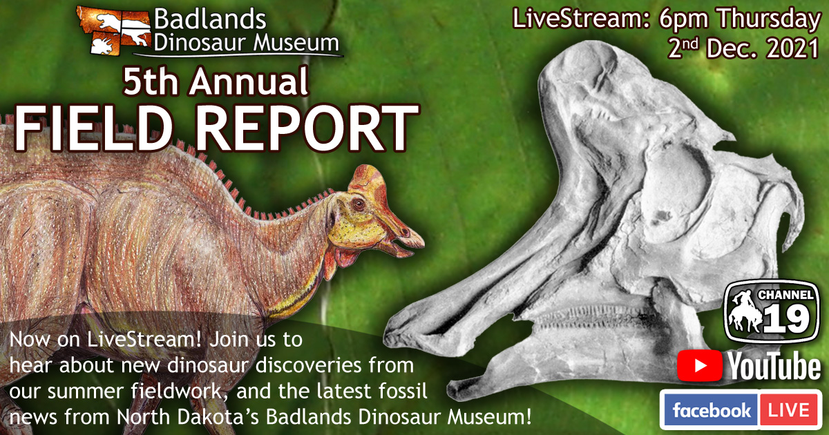 Dickinson Museum Center tweet media