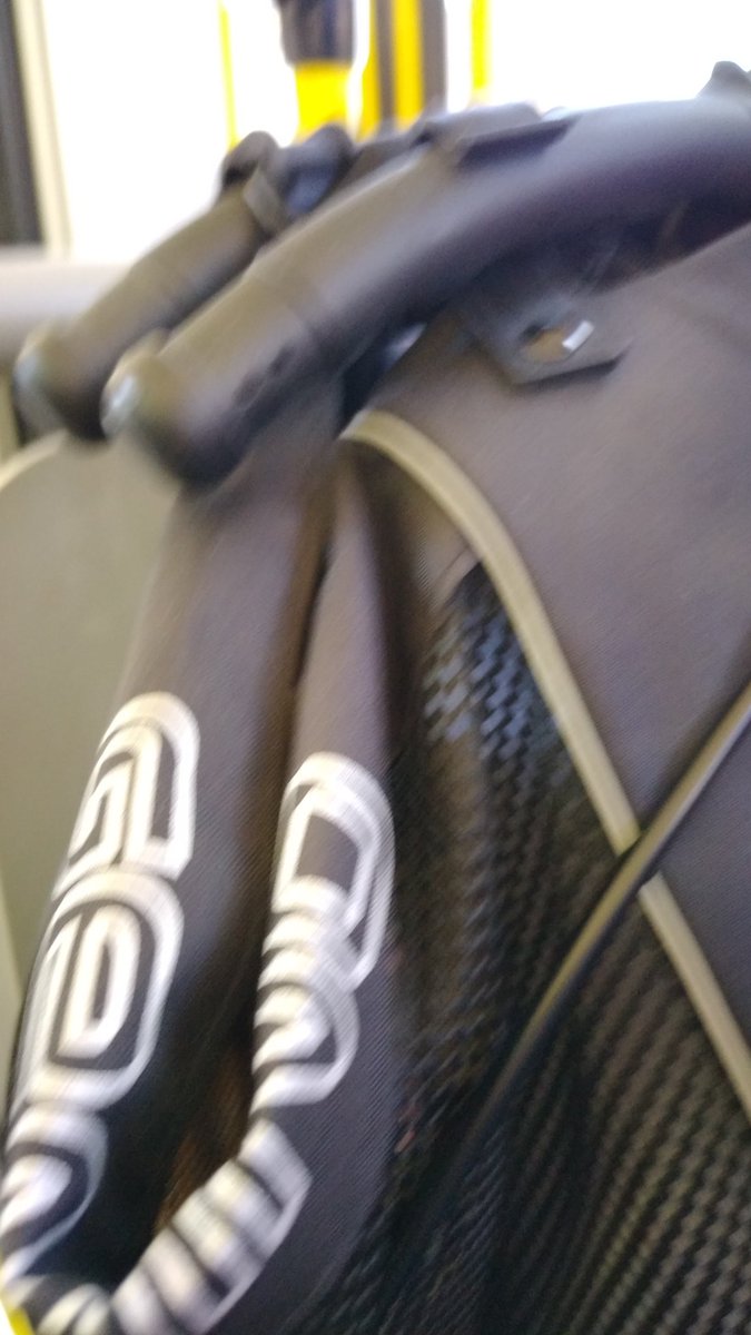 @beatrizferron4 tweet media