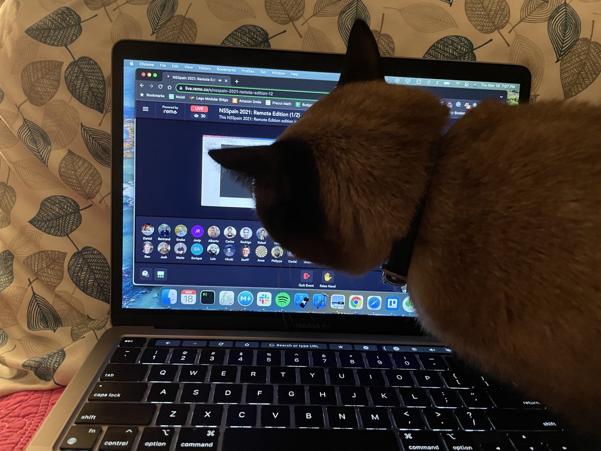 North of Normal tweet media