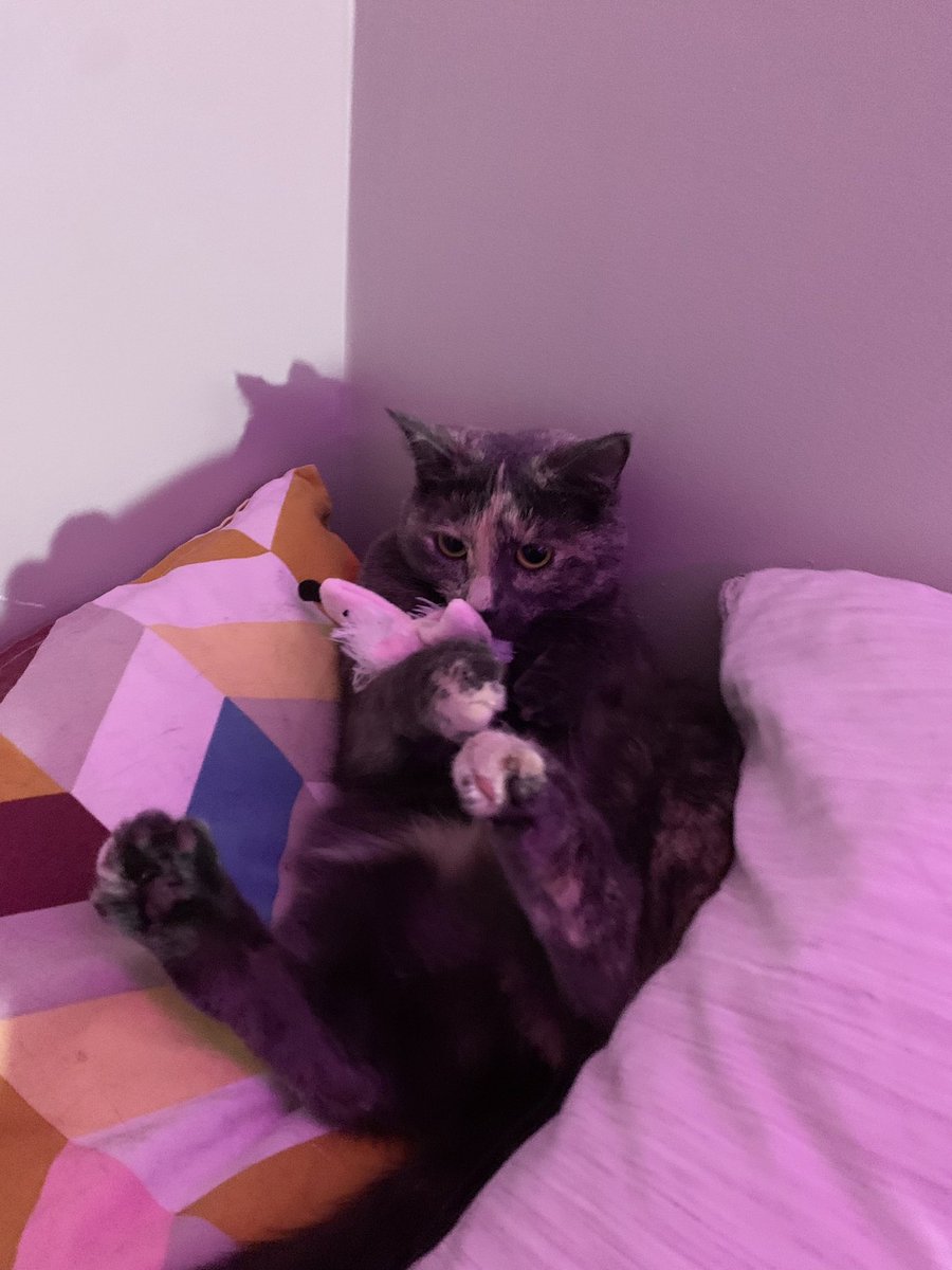 sitting , Like baby..  ,