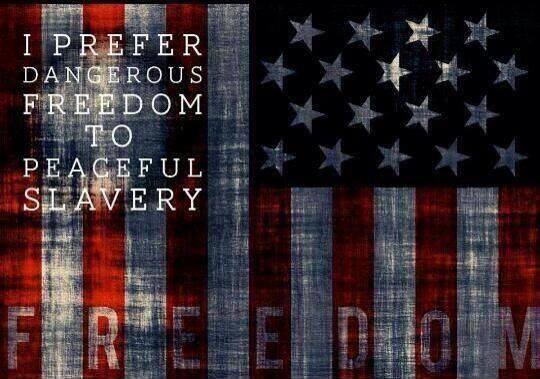 WeThePeople021's tweet photo. America is the last breathe of freedom in the world. If we let her fall, there will be no coming back from it. 

#Freedom #GodBlessAmerica #Stand4Freedom #WeThePeople #SaveOurRepublic https://t.co/Zwtd4nifIj