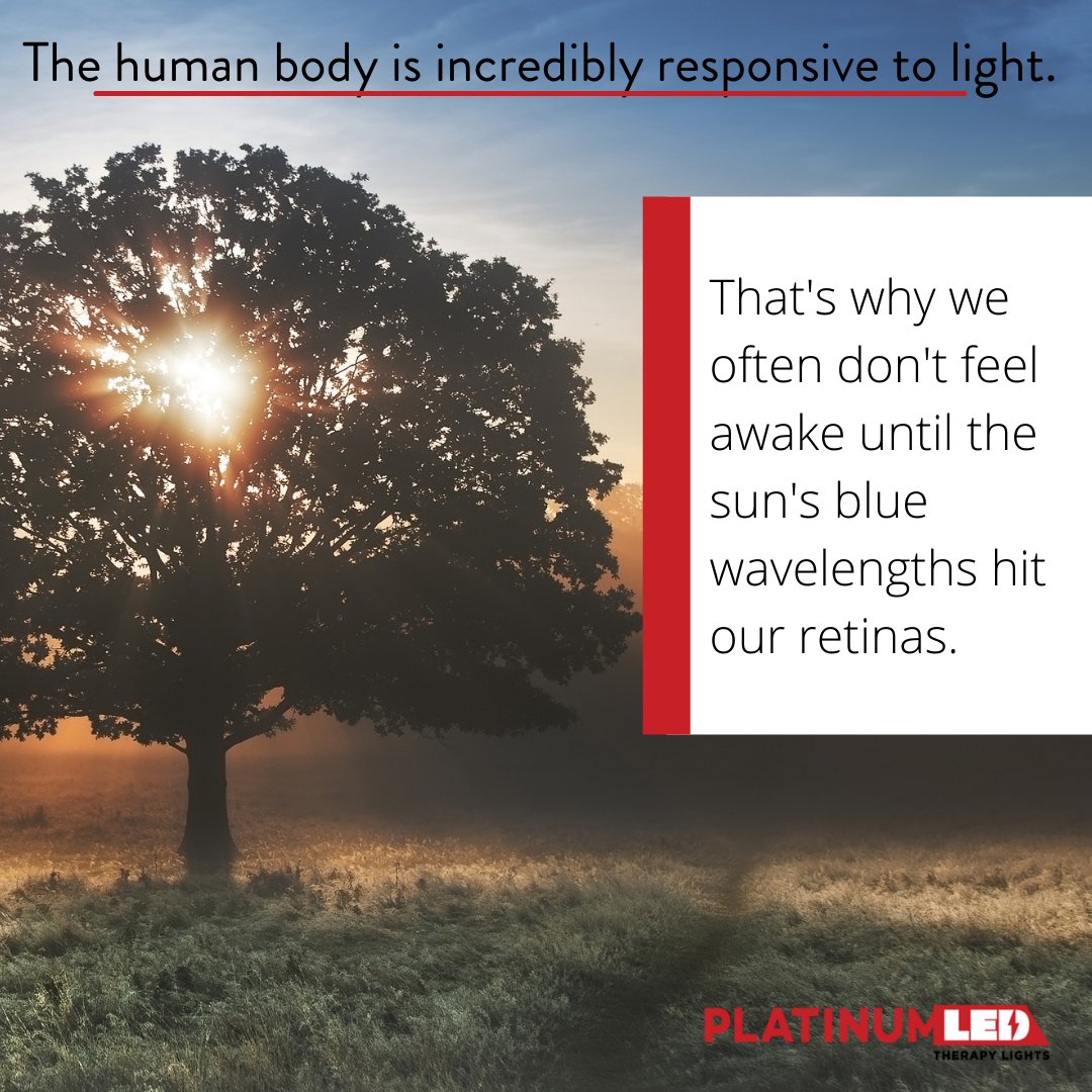 LightsTherapy's tweet photo. That is also why it's difficult to fall asleep after staring at our phones for hours leading up to bedtime. The type of light we are exposed to can significantly impact our physical and mental health. https://t.co/hXOmpLsoAU