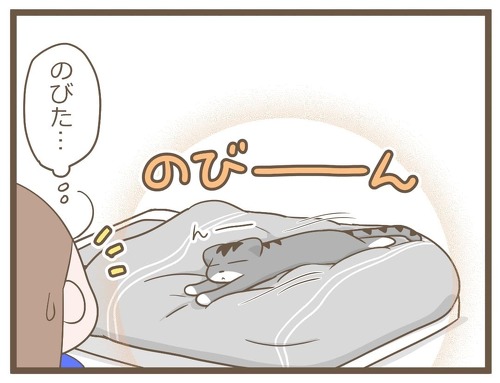 猫にお布団を占領される季節がきて…… 一緒に寝たい猫と安眠できない飼い主を描いた漫画が面白い https://t.co/KFAZNIiveZ @itm_nlabより 