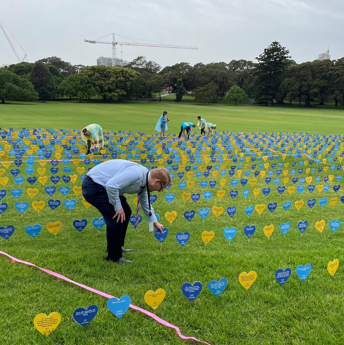 Anthony D'Adam tweet media