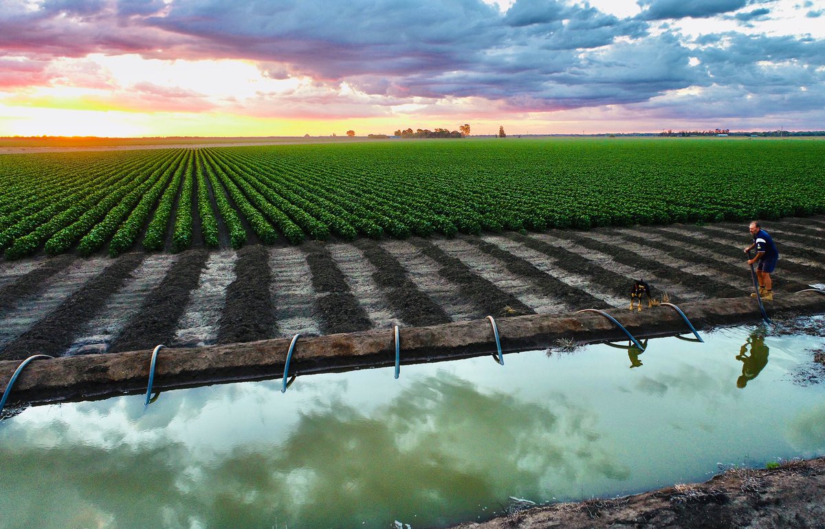 National Ag Day 
#AgDayAU #cottonaustralia #thankafarmer