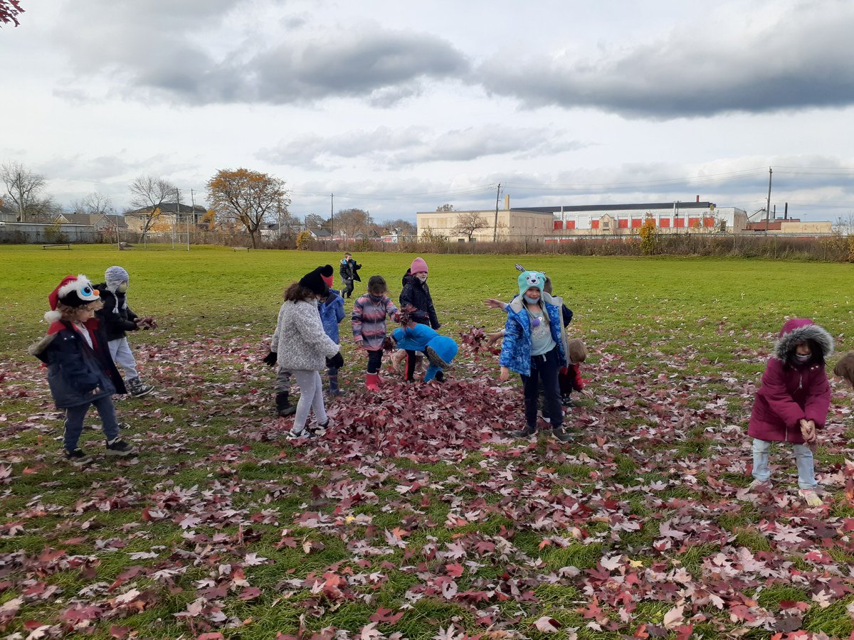 mrspsgr1s's tweet photo. When your play area is under 2 big trees, you work together to make a big pile of leaves to jump in! #fallrecess #jumpinginleaves #grade1isfun
@ConnaughtDSBN https://t.co/YGuMh5KfFa