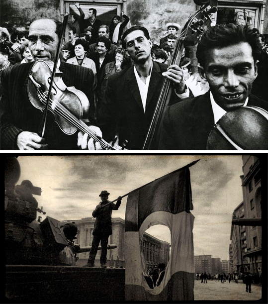 Run Raven Run [US/Romania], directed by Michael Rainin, at the virtual [seen across California] 20th Annual Tiburon International Film Festival. November 19-25, 2021. TiburonFilmFestival.com