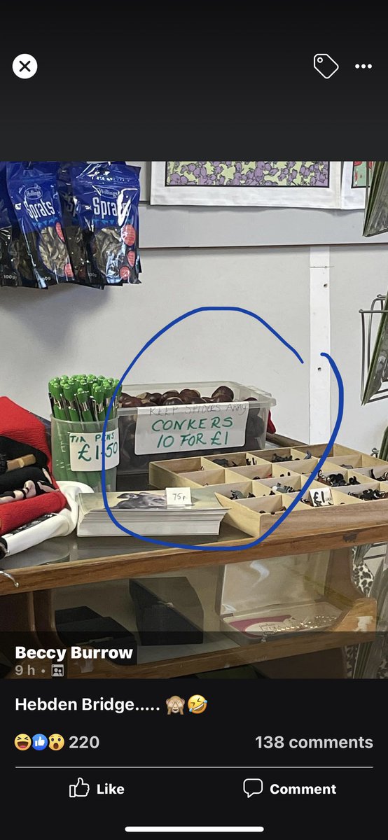 EmJaSt78's tweet photo. @rickygervais These conkers for sale reminded me of that hooker trying to sell David Brent heather for a pound. 😂 #GypsyLady https://t.co/DU6vbhUaxI