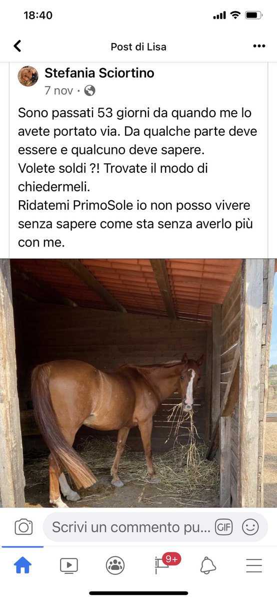 Non conosco questa persona ma posso solo immaginarne la pena...