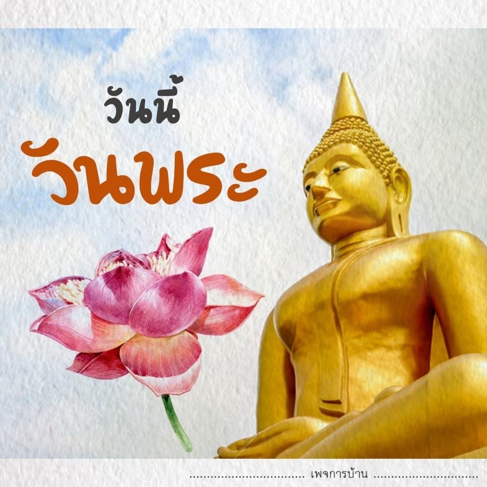 alita_byaew's tweet photo. #วันนี้วันพระ ตอนเช้าใส่บาตร กรวดน้ำรับพรพระ เติมบุญให��ชีวิตเป็นสุข #สายบุญ https://t.co/w7AVLPOBS9