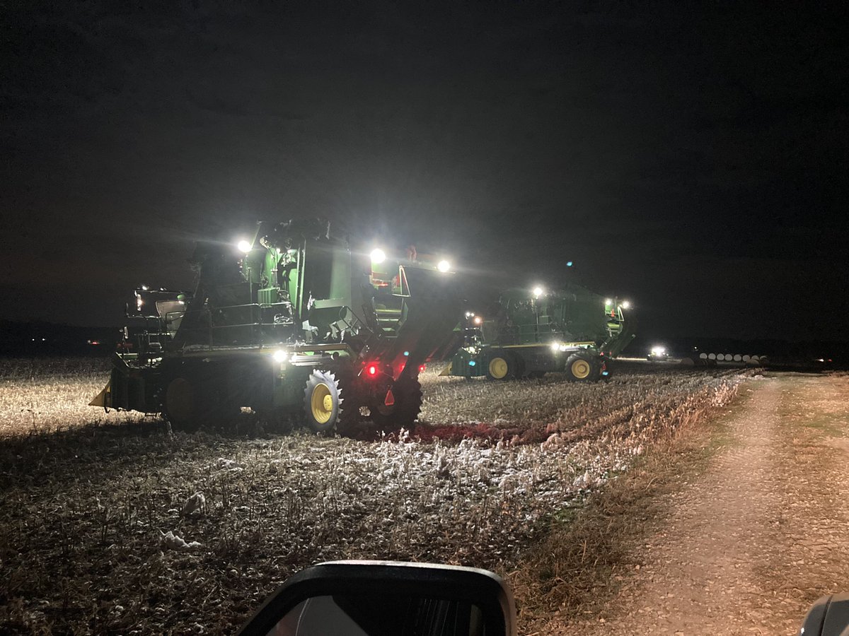 Christopher Whatley tweet media