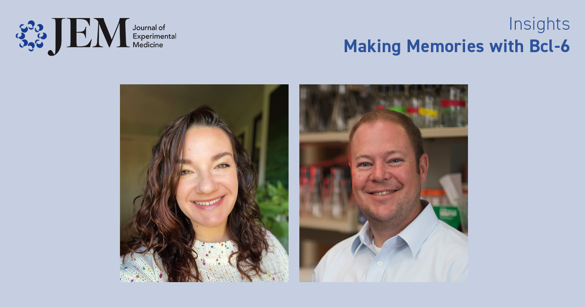 JExpMed's tweet photo. Kaitlin Read &amp; Kenneth Oestreich @OhioStateMed discuss study by @CiucciThomas, Vacchio et al (https://t.co/46Ko8SlsTC) showing that mutual antagonism between the transcriptional repressors Bcl-6 &amp; Blimp-1 is central to the generation of T cell memory. https://t.co/qcerfZ6LPb https://t.co/FtXqvHVKII