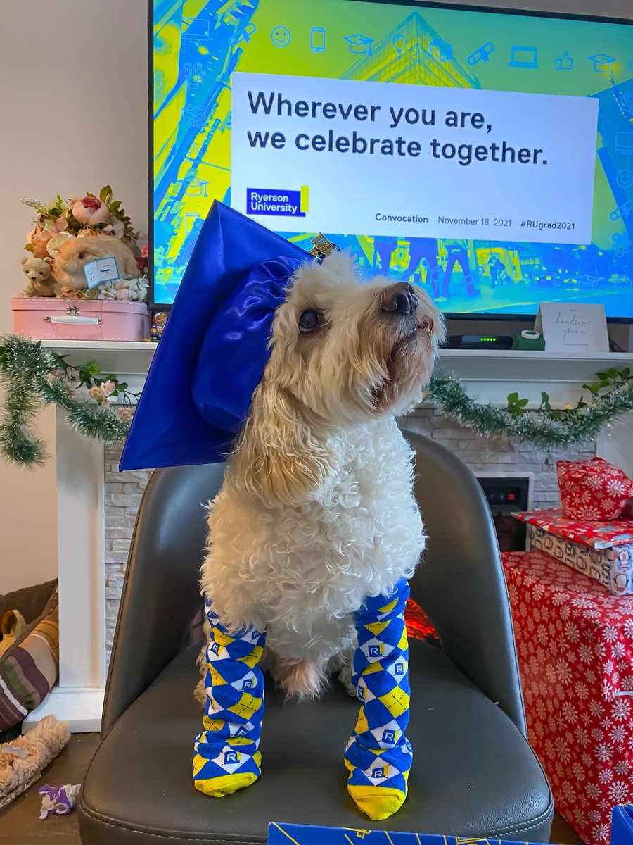 Celebrating my MBA virtual graduation ceremony with Rio #RUgrad2021 <a href="/RyersonU/">Ryerson University</a>