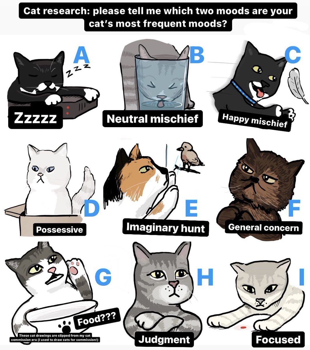 Nathan W Pyle tweet media