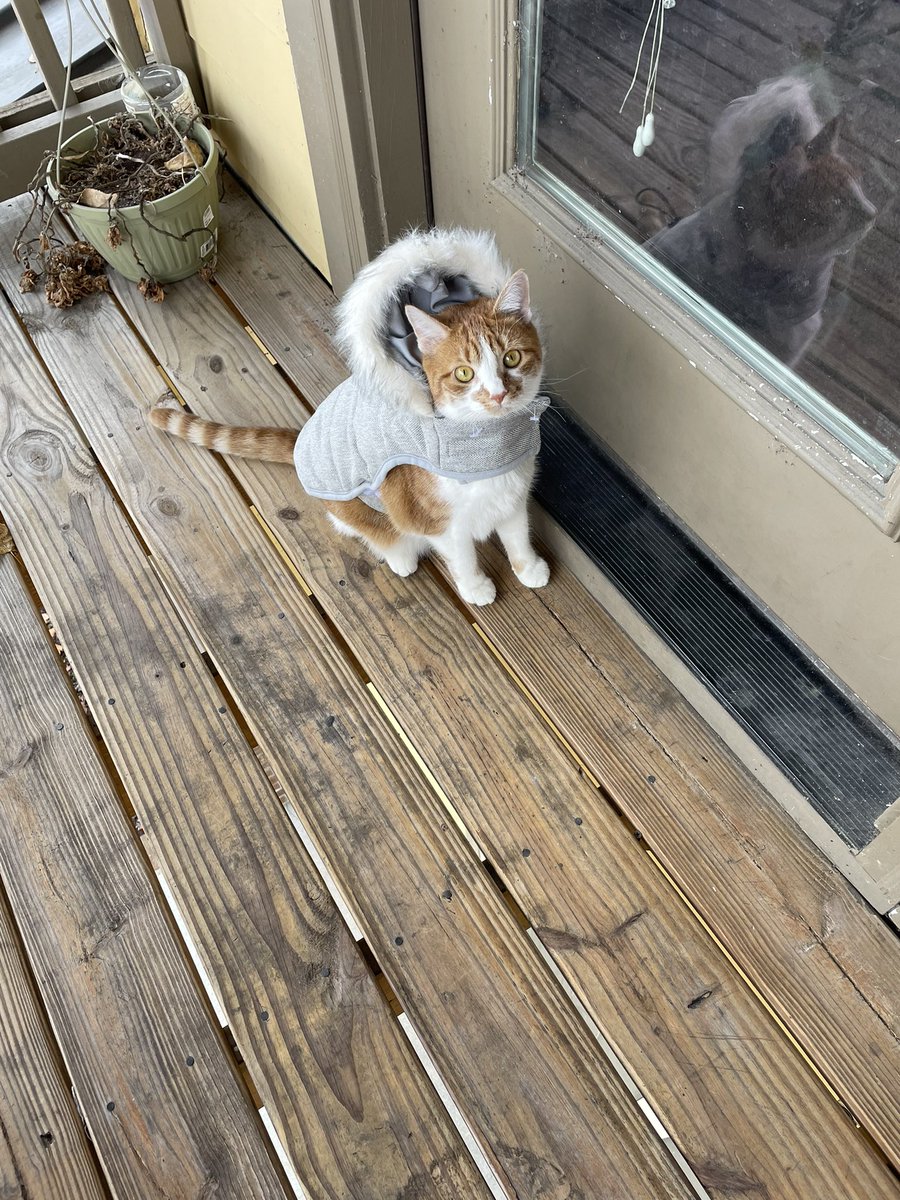 bjsplane's tweet photo. It’s getting chilly outside make sure to bundle up https://t.co/uSQqQQTQiH