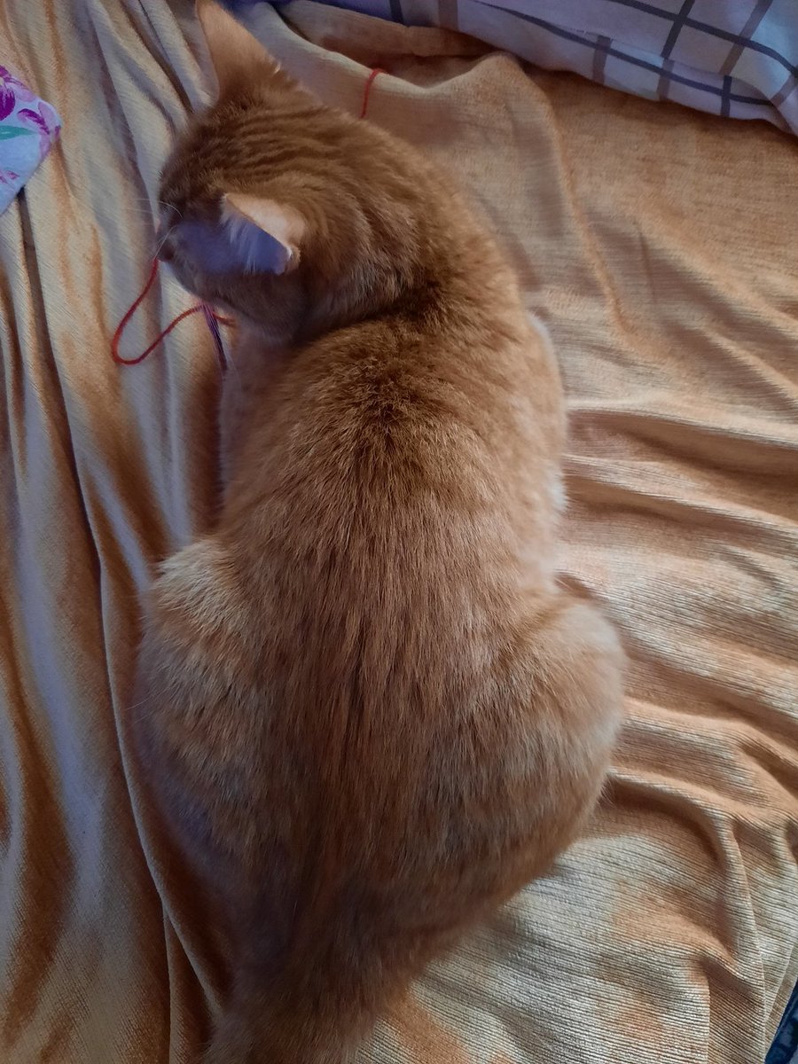 Gödümle kalp yabdım da geldim ulam🧡