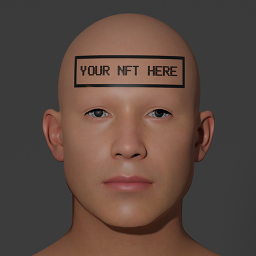 The Human NFT Project tweet media