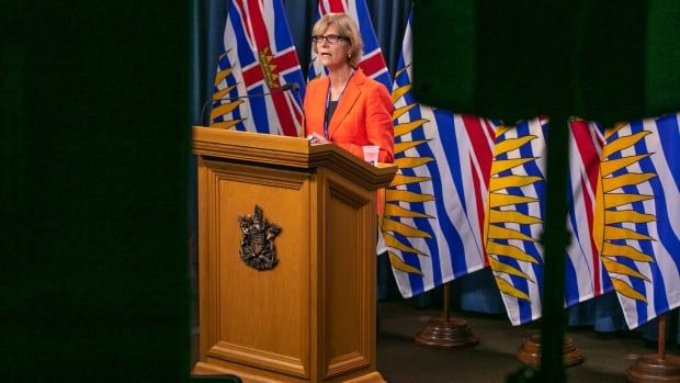 CraigavonEnt's tweet photo. #BC's seniors advocate calls for paid sick leave, more staff in #longtermcare to prevent #COVID19 deaths. Read more here: https://t.co/rouKl9U4gX https://t.co/f9VVS6Uyax