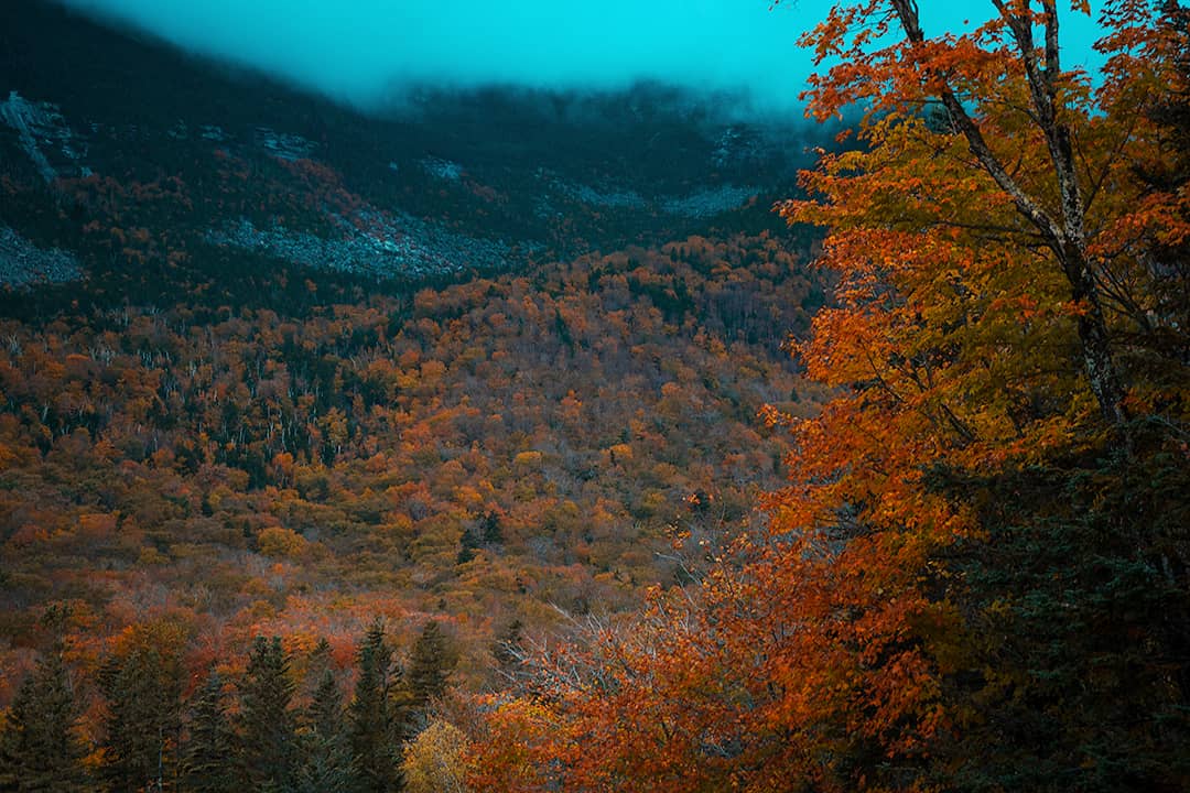 AkshayaVaradha's tweet photo. Fall + Fog = Favorite combo 🍂

#fall #whitemountains @PNYTechnologies @SonyAlpha https://t.co/y01eTAFVOM