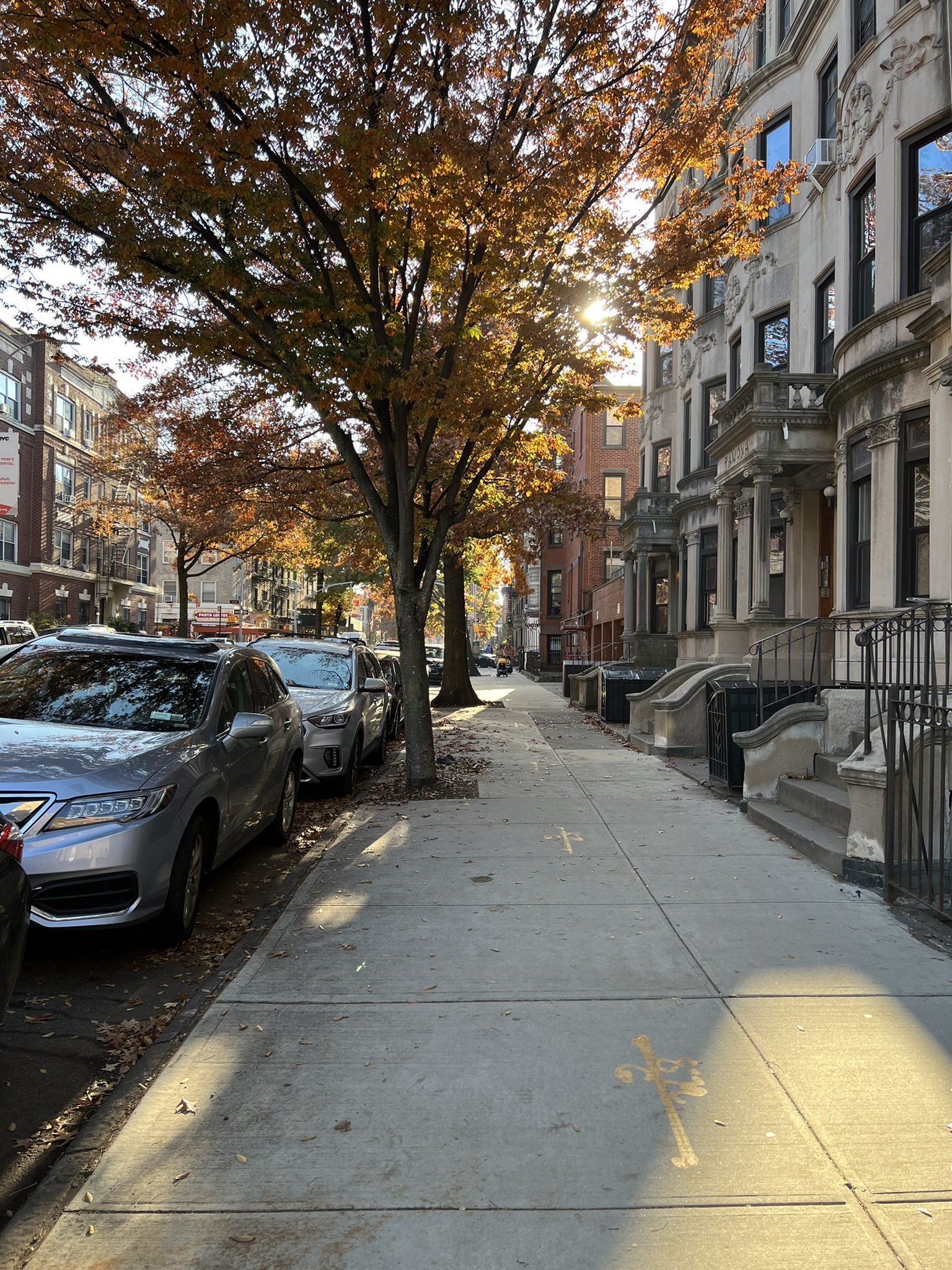 View image on Twitter