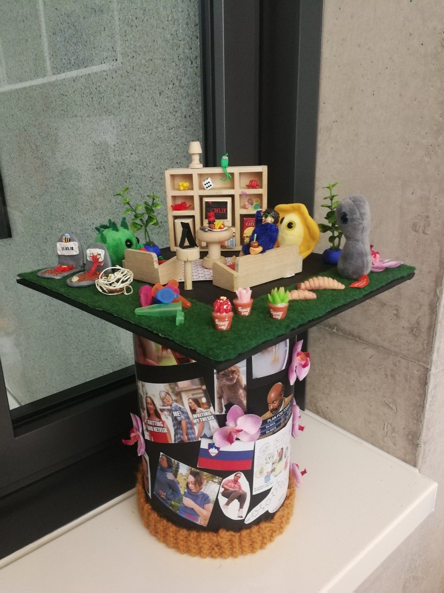 kcirnski's tweet photo. PhD done! 🥳 https://t.co/963QhgOV4p