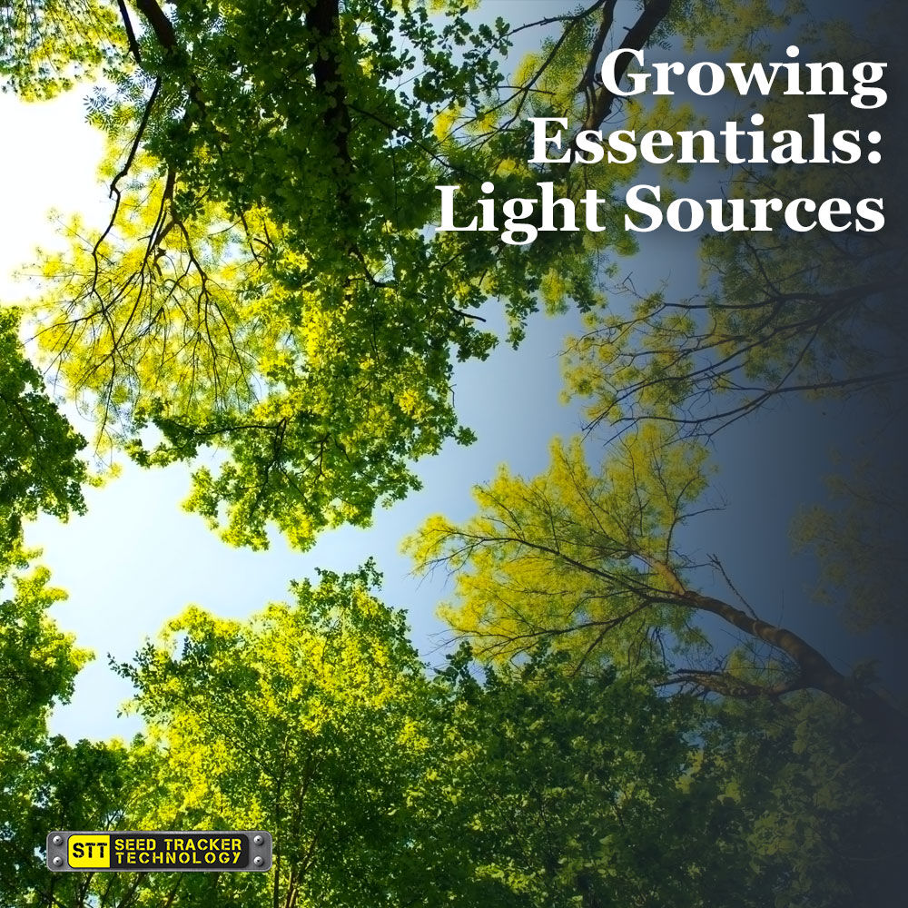 SeedTrackerTech's tweet photo. Although we know this seems incredibly obvious, there are so many different types of light sources that you can use to grow your plants. 😃 If you're growing outdoors, relying on the power of the sun is most effective for your grow than you think. To learn more, visit out IG! 💘 https://t.co/xHquUT1iVd