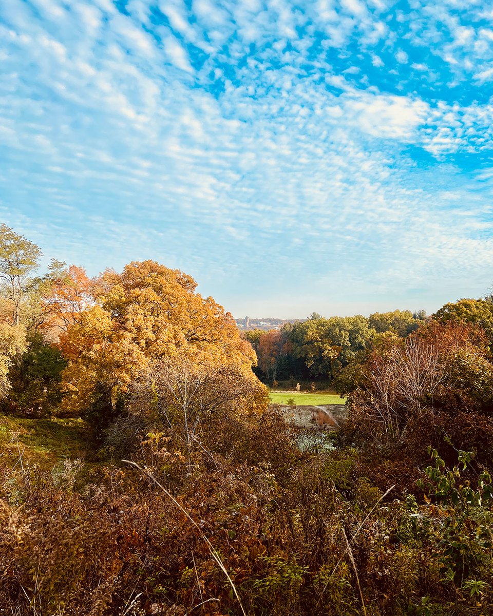 michiganalumni's tweet photo. From the Arb to North Campus -- what a view. 👀 https://t.co/csPDIG546F
