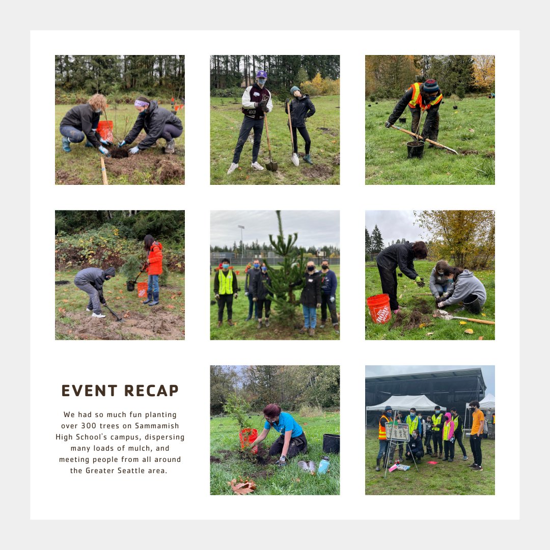 YESCSeattle's tweet photo. We had so much fun planting over 300 trees on Sammamish High School's campus, dispersing many loads of mulch, and meeting people from all around the Greater Seattle area. Your enthusiasm and dedication to increase tree canopy coverage is contagious. Thank you so much for coming! https://t.co/qHPY0NXmSE