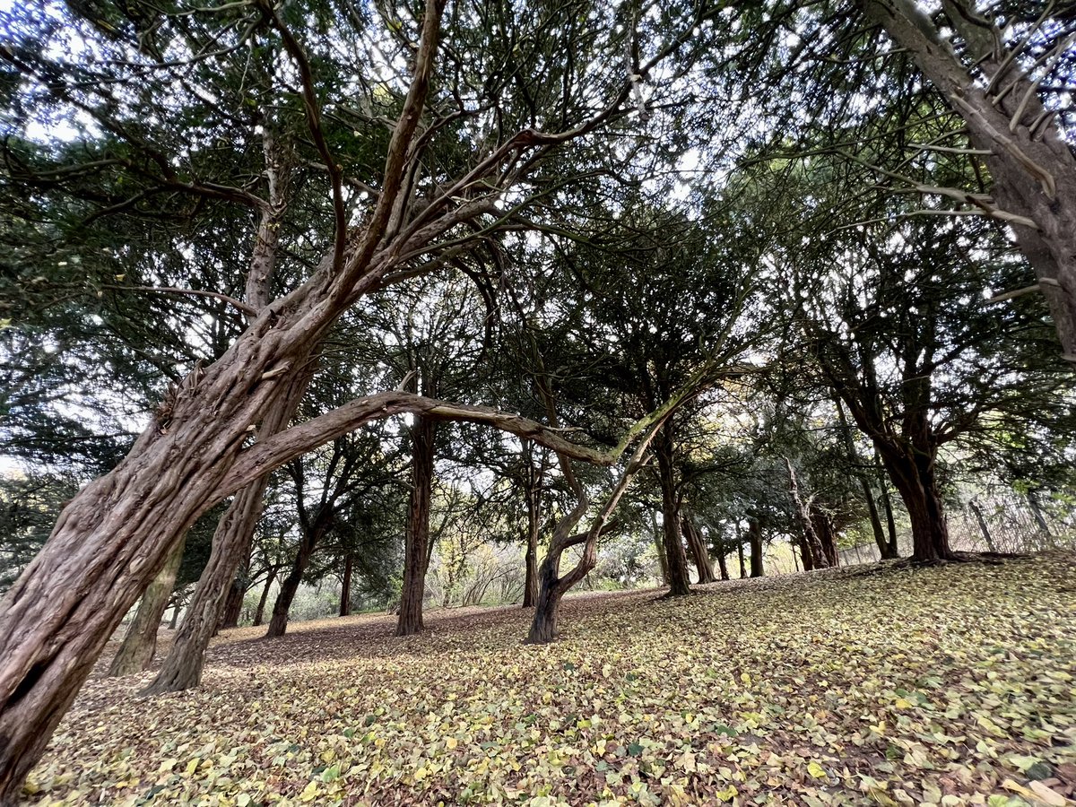 Afternoon walk around @NeneParkPboro <a href="/peterboroughtel/">Peterborough Telegraph</a> <a href="/PboroughMatters/">Peterborough Matters</a>