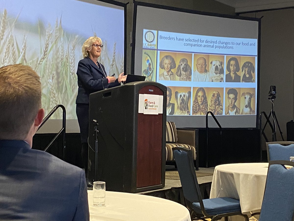 midsasker's tweet photo. Lots of great discussion about our food and the science that goes into it at @FarmFoodCareSK’s #CultivatingTrust conference! https://t.co/PRMrAtTi7z