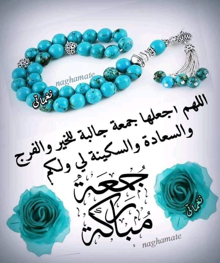 د/ زهرة الكامليا (@mhmwddhky1) on Twitter photo 