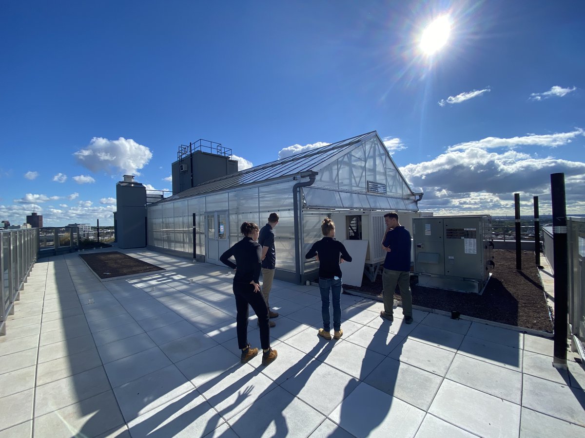 _SWinter's tweet image. Today&apos;s beautiful #SWARooftops view comes with a bonus: a look inside the greenhouse atop @ProjectRenewal&apos;s Bedford Green House in the Bronx. #SWAProject