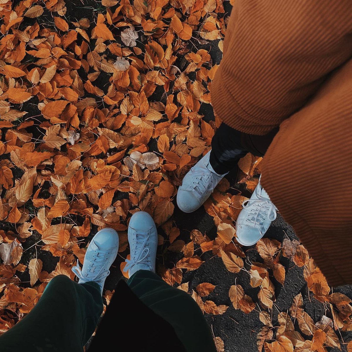 YDYBSHOP's tweet photo. From midnight tonight until midnight 26th, there’s 10% off EVERYTHING on YDYB! Happy Black Friday 🍂 https://t.co/AUU2bc5WCo