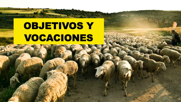 Yoriento's tweet photo. Mañana en Tenerife estaré con los profesionales de la formación profesional del @cifpcesarm (uno de los centros más innovadores) para desarrollar dos sesiones de motivación con 160 jóvenes.

Si tienes que reinventarte hazte una FP y en dos años serás un profesional nuevo/a. 😂🕺🏻 https://t.co/X07EB2AOjN