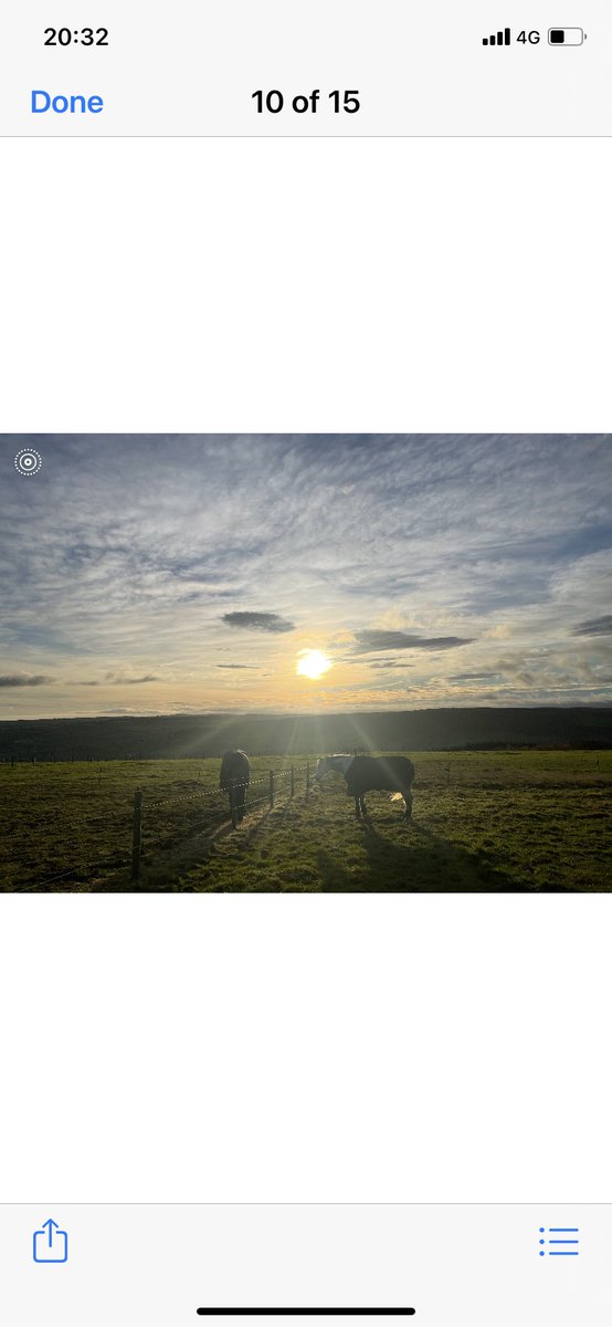 MickScaife1959's tweet photo. George Bowen enjoying gods country (Whitby, North Yorkshire) and Hanah doing great job making him so happy in his retirement. RF racing make sure welfare after racing is priority. https://t.co/3wIzg8PjYm