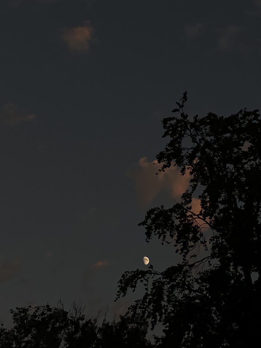 Guts٢ (@lavoiedusabre_) on Twitter photo 