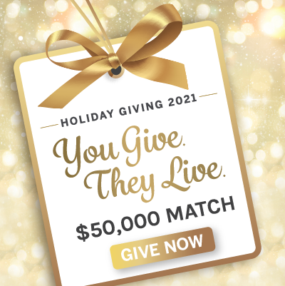 PAWSChicago's tweet photo. Have you met Pedro &amp; Mojo, the two beautiful pets in our holiday campaign? They're alive because animal-loving people like you stepped up in 2021. 

We hope you can say yes one more time today &amp; help us save thousands more. Learn how to donate here: https://t.co/9Y1ijCIijZ https://t.co/ZQVeL3zj5T