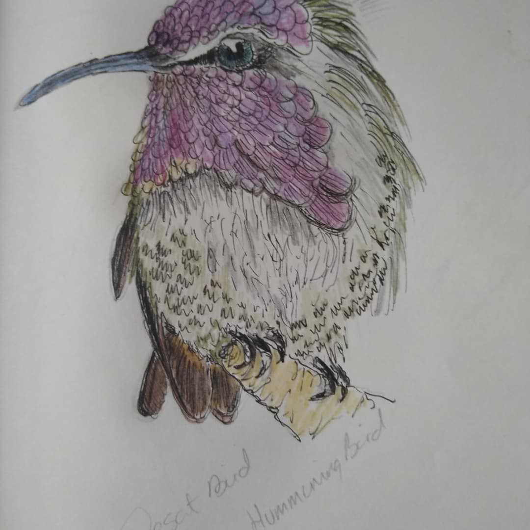 artyreg77's tweet photo. #WhyDoYouFollowMe #ArtistOnTwitter #animals #wildlife #INK hopefully you enjoy my journey xx ❤️🥰🤗 https://t.co/7UuxbJnTZ6
