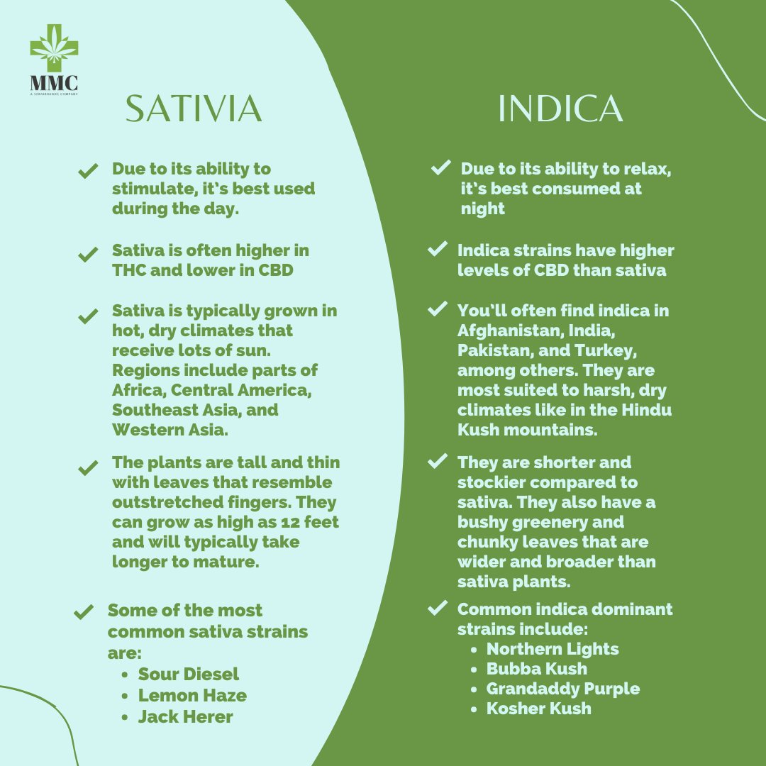 Sativa vs Indica? Visit our blog at medmc.ca for a comprehensive overview of both indica strains and sativa strains, how they differ, and which is best for you.
