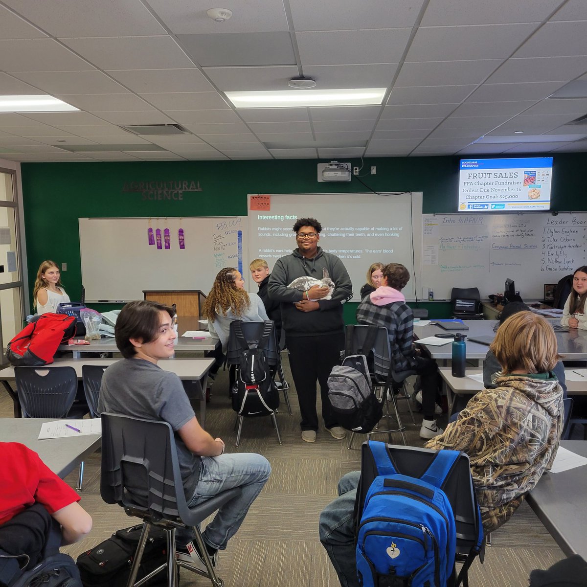 BooneAgSci's tweet photo. Devin shared his knowledge of rabbits today in Companion Animal Science class @BooneToreadors today #AnSci https://t.co/PHwaBDo3Al
