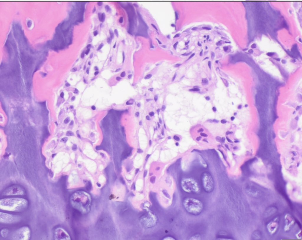 Ren TV erotik kino Onlayn 3D multfilm porno tomosha qiling