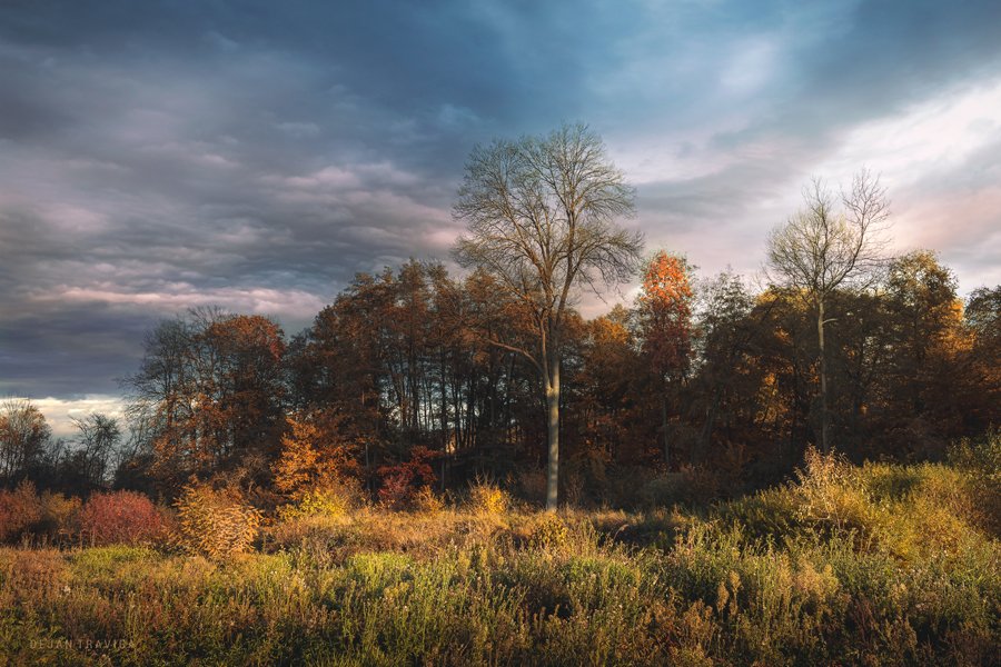 New artwork for sale - A small forest in the fall dejan-travica.pixels.com/featured/a-sma… 

#autumn #autumncolors #fall #fallseason #october #trees #forest #autumnleaves #clouds #yellow #orange #red #warmtones #colorful #landscape #nature #serbianlandscapes #walldecor #giftideas #dejantravica