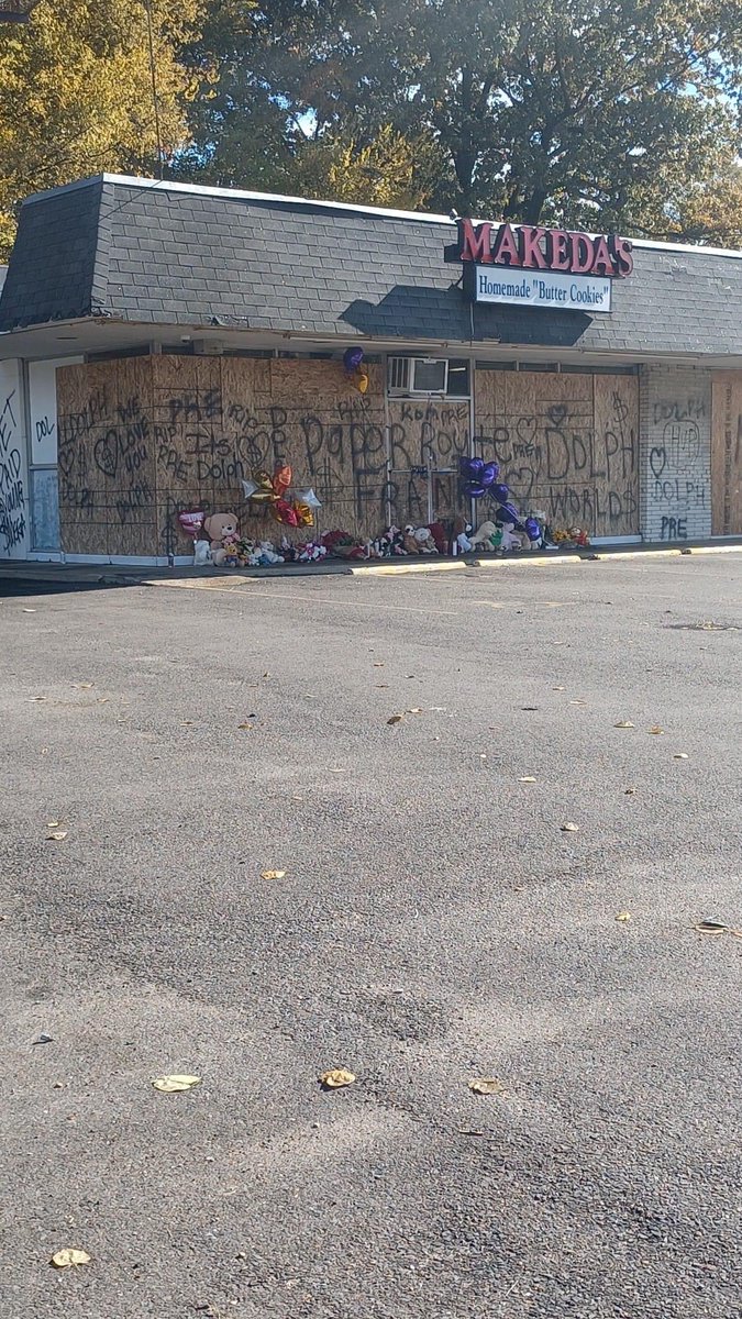 KarterMcFly's tweet image. Long Live Dolph 🐬‼️