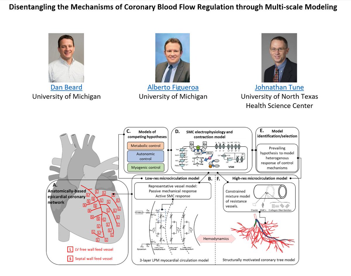 We're hiring! <a href="/BeardLabUMich/">Daniel Beard</a>, 𝗝𝗼𝗵𝗻𝗮𝘁𝗵𝗮𝗻 𝘁𝘂𝗻𝗲, and I are looking for a #postdoc (PhD in applied math, BME, Mech Eng, or Quant. Physiol.) with experience in modeling blood flow.

Contact me if interested!

<a href="/UMBME/">U-M BME</a> <a href="/UMichSurgery/">Michigan Surgery</a> <a href="/UM_MICDE/">MICDE</a> <a href="/SB3Corg/">SB3C Organizers</a>