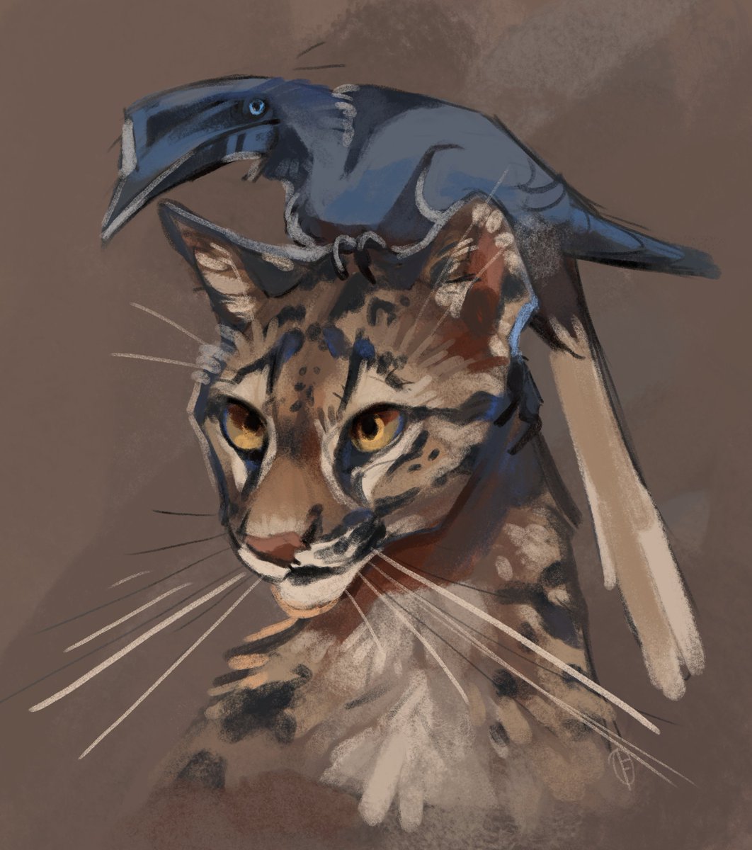 Finchwing's tweet photo. aminals!! #AnimalArtistsUnite https://t.co/4ge1SNdewF