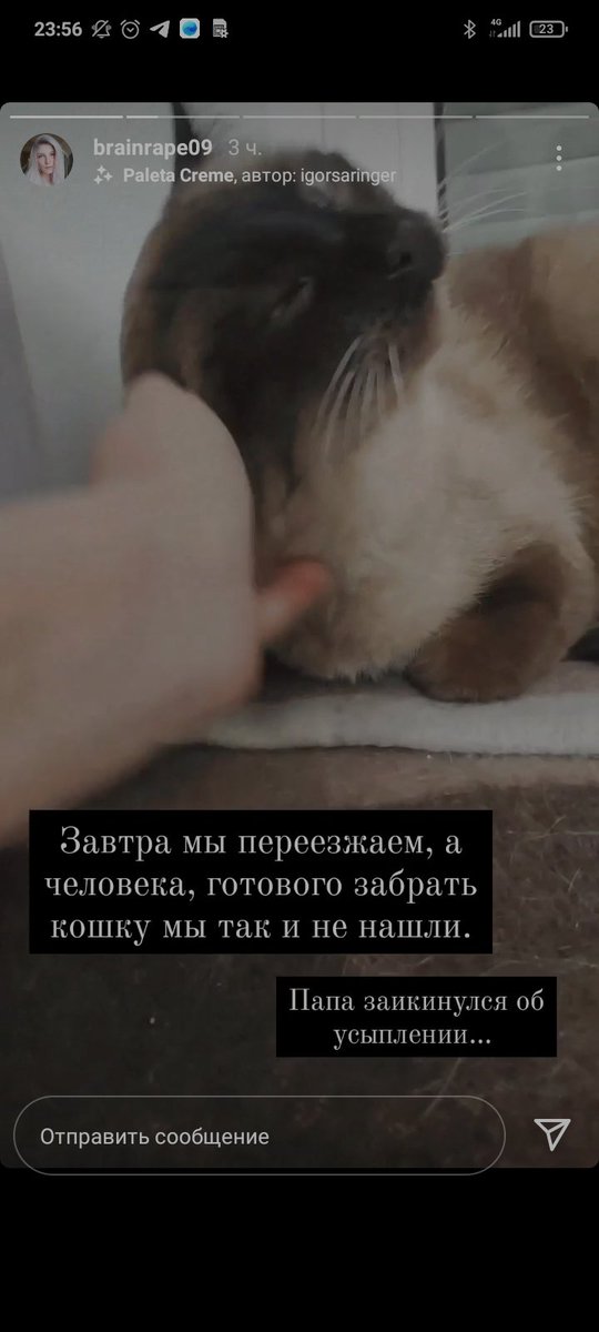 Vadze_Official's tweet photo. Сила твиттера, помоги и в это раз. 
@and_also_greeks @leni_kotik @Maria_Key @glavvvrach @yadeathcoree https://t.co/54dtr3fsdS
