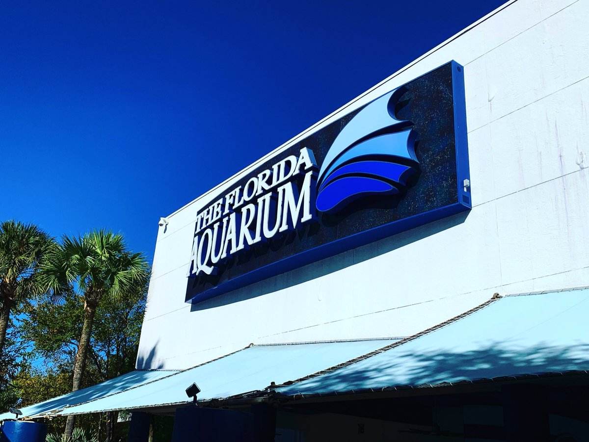 StatechaserUSA's tweet photo. Florida Aquarium #statechaserusa @StatechaserUSA @VisitTheUSA @TimSamsTravelUS @USTravel @floridaaquarium @CityofTampa @VisitTampa @VISITFLORIDA @FLRecommended @Fl_Vacation_ @FloridasBeaches @Tripadvisor https://t.co/ipbRVYlcTX