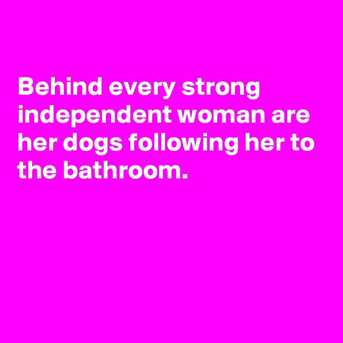 Behind every strong independent woman are her dogs following her to the bathroom. https://t.co/qwAD8<a href="/tag/cambridgeuniversitypress"class="tags"><span>#cambridgeuniversitypress</span></a>
